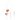 Endurance Run 3C - White